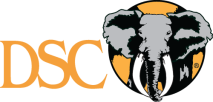 DSC logo e1765535692406